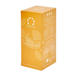Solaris Ginger Zest Organic Silk Teabags x40