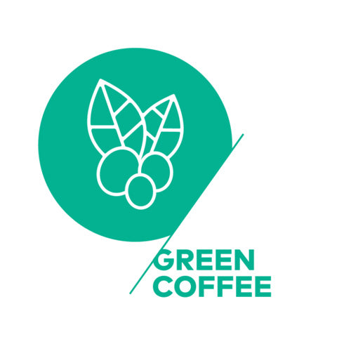 IBCA-SCA Green Beans Course